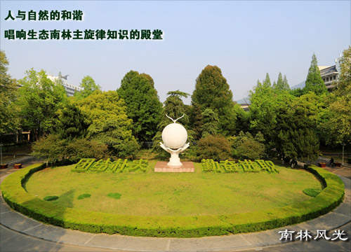 南京林业大学